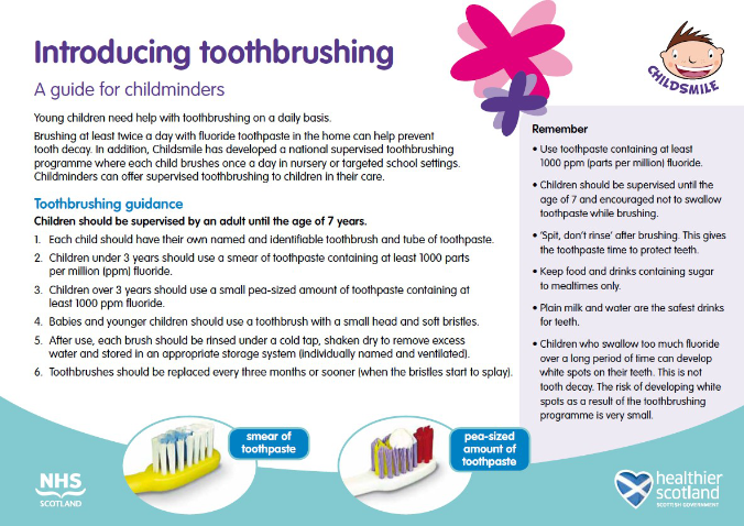 Introducing toothbrushing a guide for Childminders