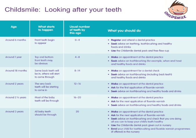 Childsmile poster for looking after teeth. Poster displays age ranges, what happens to your teeth and what you should. Only for children from 6 months to 3 years.