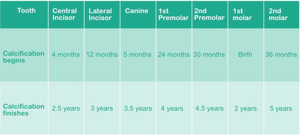 A table showing Calcification Average Dates.