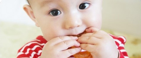 Little boy eating image